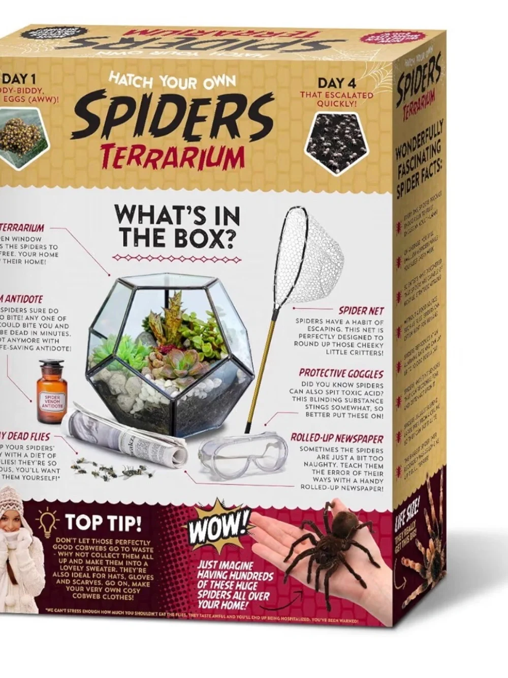 Terrarium - Novelty Pet Kit - Yellow